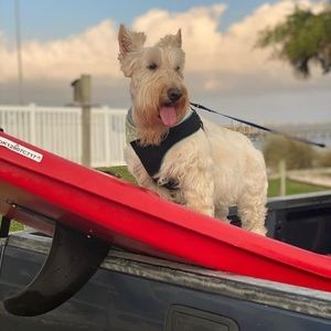 Meet your Posher, Christine